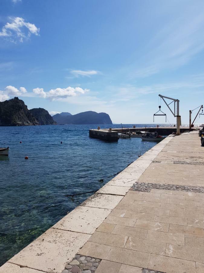 Montenegro Sea Pearl Apartments Petrovac ภายนอก รูปภาพ
